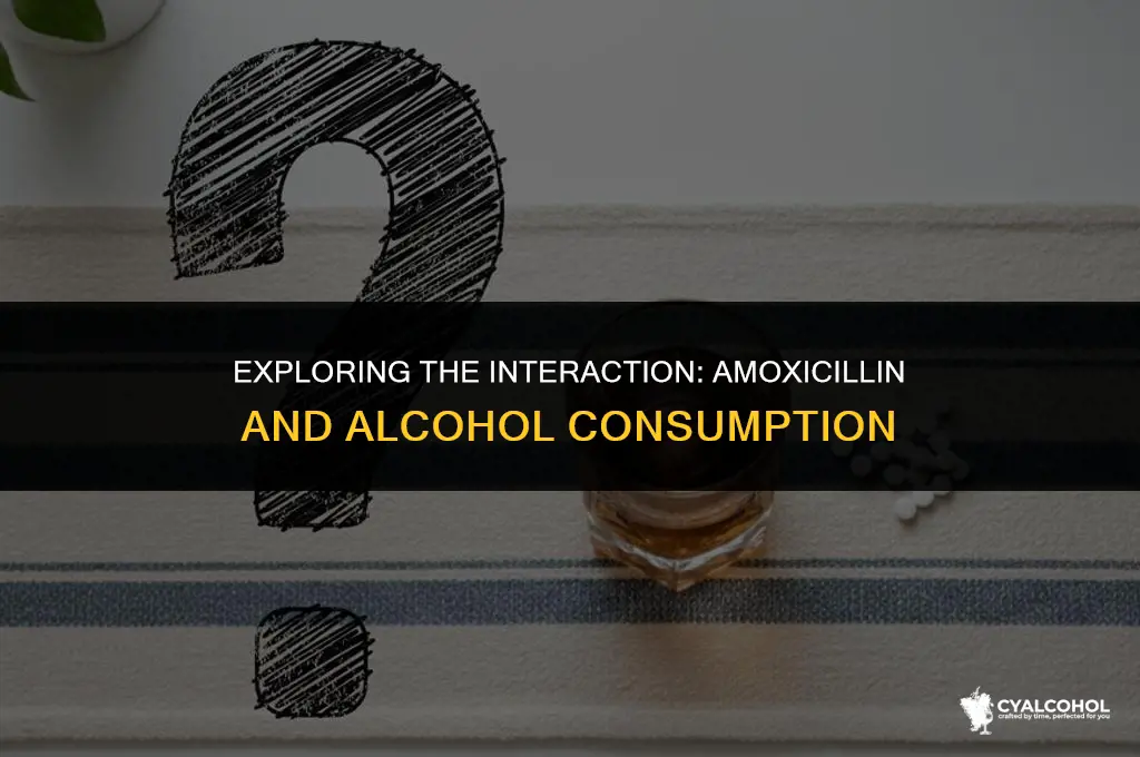 does amoxicillin react with alcohol