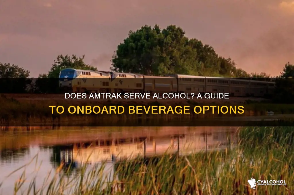 does amtrak aerve alcohol