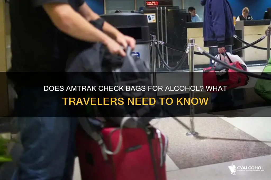 Does Amtrak Check Bags For Alcohol? What Travelers Need To Know | CyAlcohol