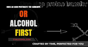 Acid Protonation: Carbonyl or Alcohol First?