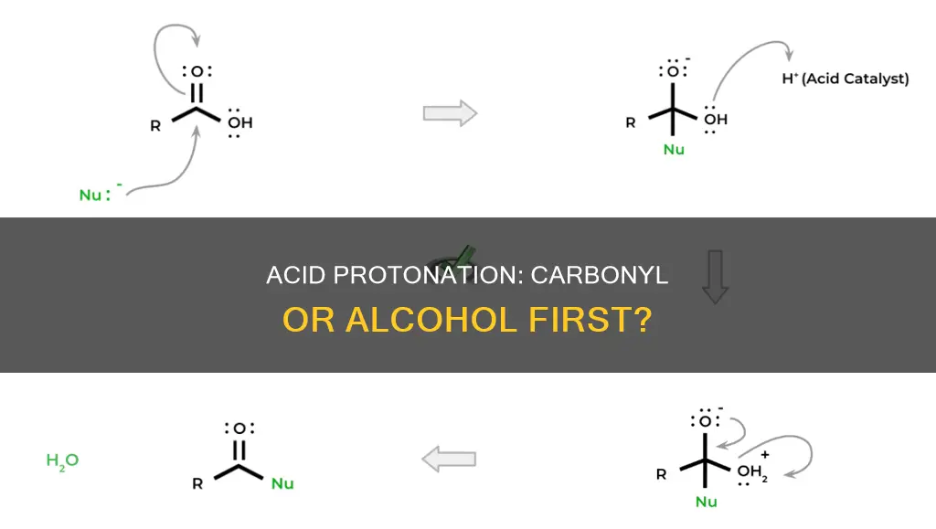 does an acid protonate the carbonyl or alcohol first