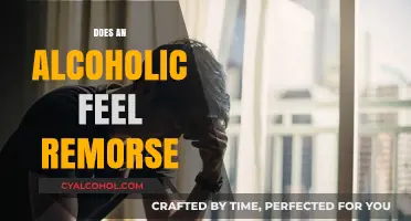 Sober Reflections: The Complex Emotions of Alcoholic Remorse