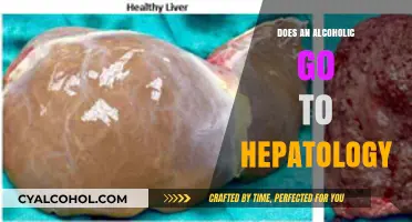 Alcoholism and Liver Health: When to See a Hepatologist