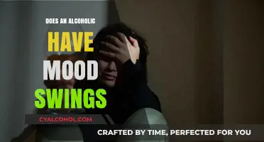 Understanding Alcoholism: Mood Swings and Emotional Turmoil Explained