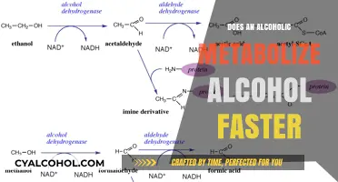 Alcohol Metabolism in Alcoholics: Faster Processing or Dangerous Myth?