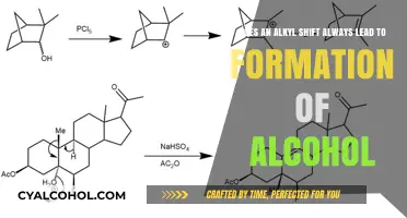 Alkyl Shift: Alcohol Formation Guaranteed?