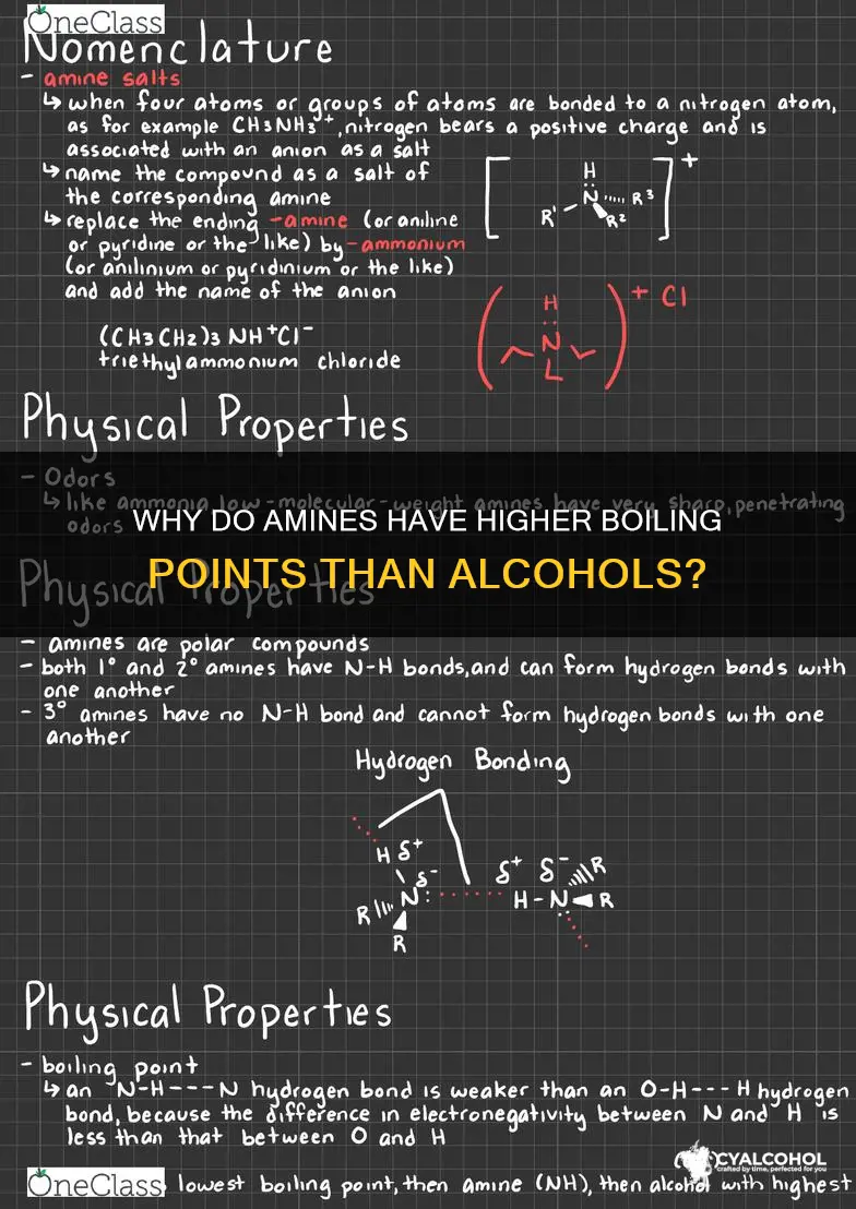 does an amine or alcohol have a higher boiling point