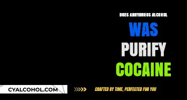 Anhydrous Alcohol and Cocaine: Does It Purify or Alter the Drug?