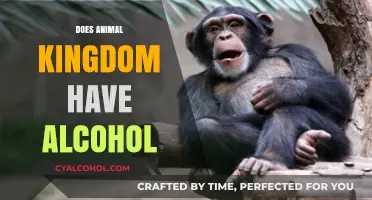 Exploring Alcohol Consumption in the Wild: Animal Kingdom Habits Revealed
