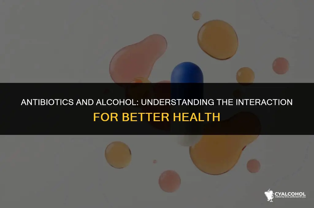 does antibiotics react with alcohol