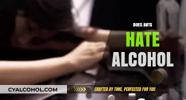 Do Ants Hate Alcohol? Uncovering the Truth Behind This Myth