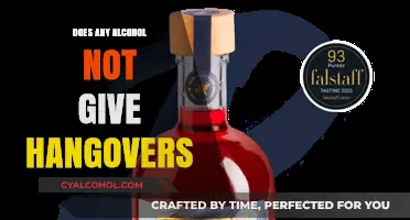 Can You Avoid Hangovers? Exploring Alcohol Options Without the Aftermath