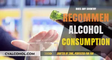 Global Health Guidelines: Do Any Countries Endorse Alcohol Consumption?