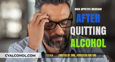 Quitting Alcohol: Understanding Appetite Changes and Increased Hunger Post-Sobriety