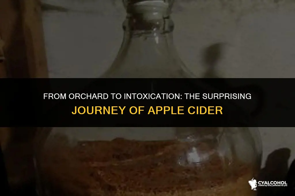 does apple cider become alcoholic