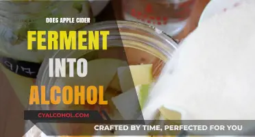 Can Apple Cider Naturally Ferment into Alcohol? A Detailed Guide