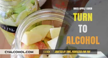 Can Apple Cider Ferment into Alcohol? The Surprising Truth Revealed