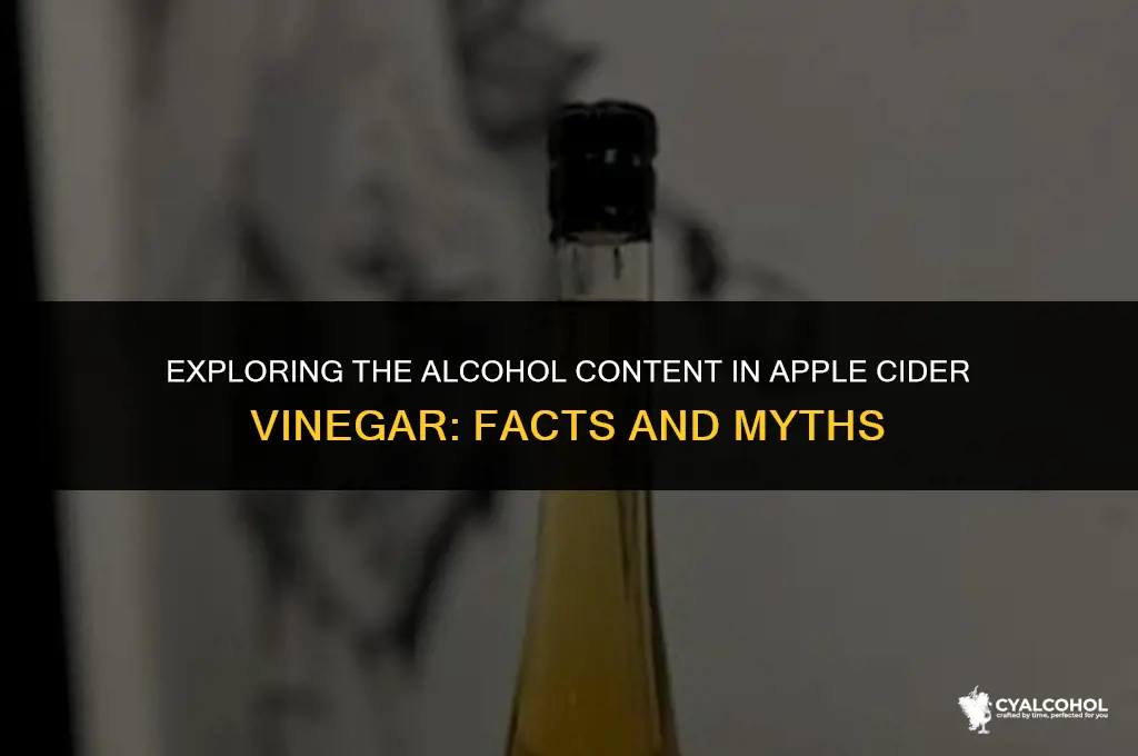 does apple cider vinegar alcohol