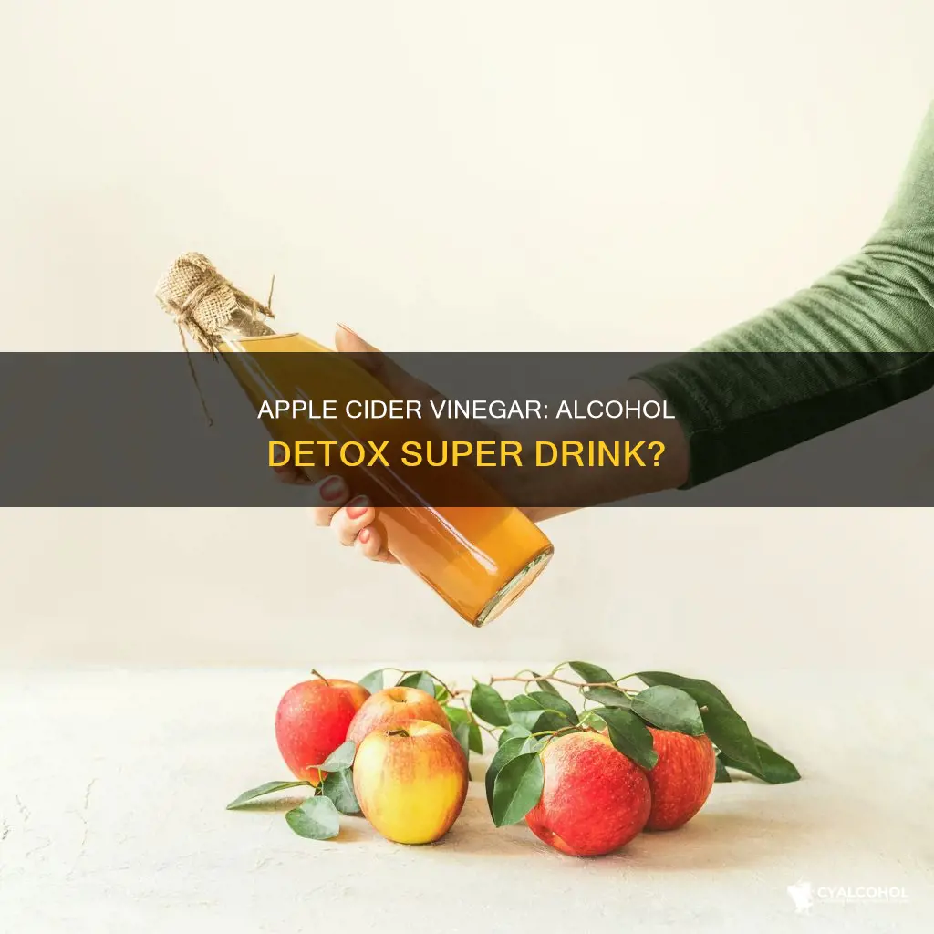 does apple cider vinegar cleanse your system from alcohol