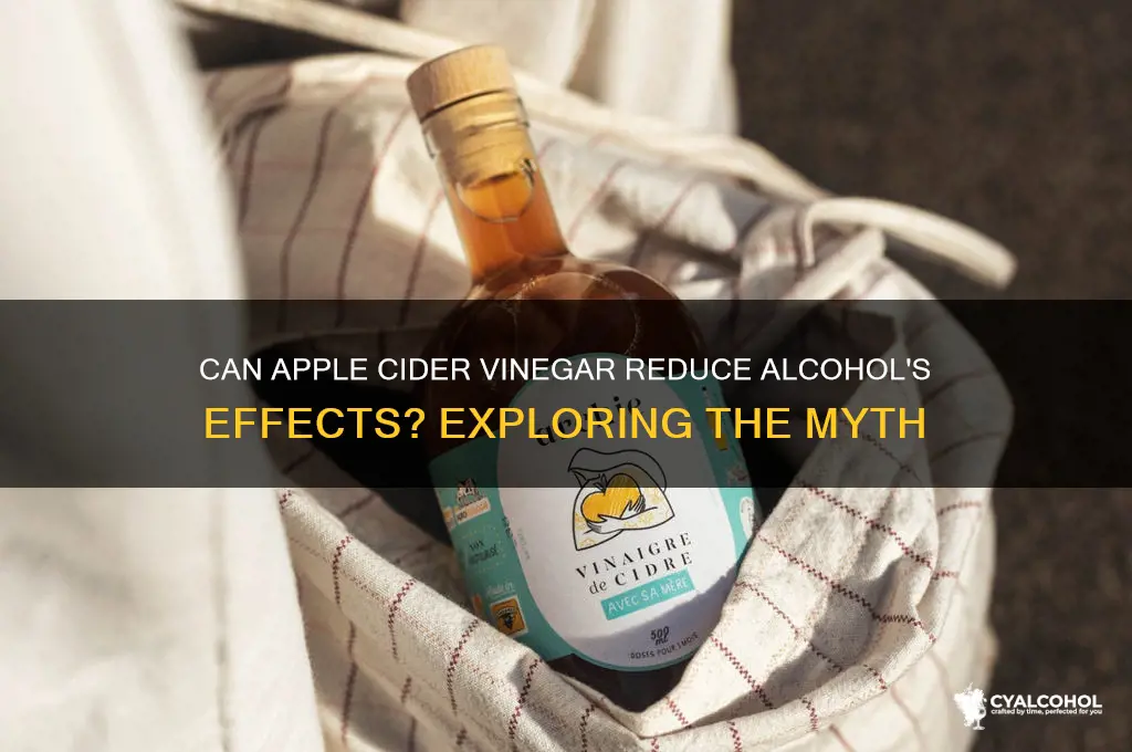 does apple cider vinegar dilute alcohol