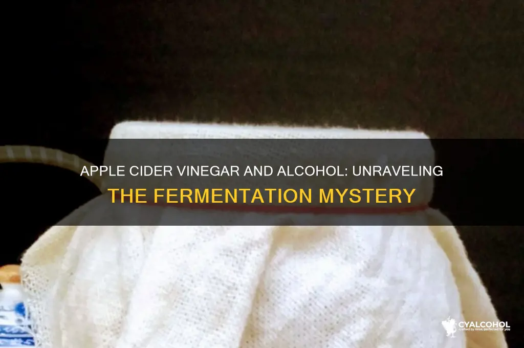 does apple cider vinegar has alcohol