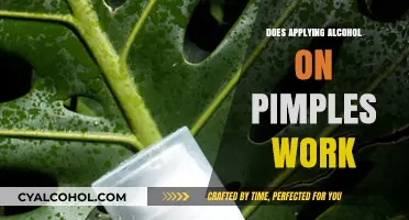 Alcohol on Pimples: Effective Treatment or Harmful Myth?