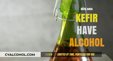 Exploring the Alcohol Content in Aqua Kefir: Facts and Myths