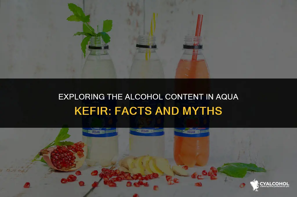 does aqua kefir have alcohol