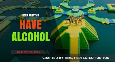 Aquatica's Alcohol Policy: What You Need to Know Before Visiting