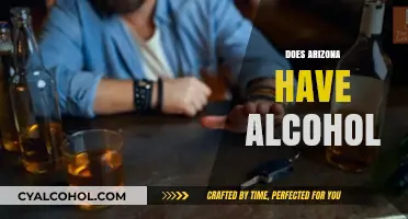 Exploring Arizona's Alcohol Laws: Availability and Regulations in the Grand Canyon State