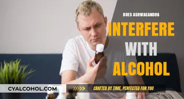 Exploring the Interaction: Ashwagandha and Alcohol Consumption