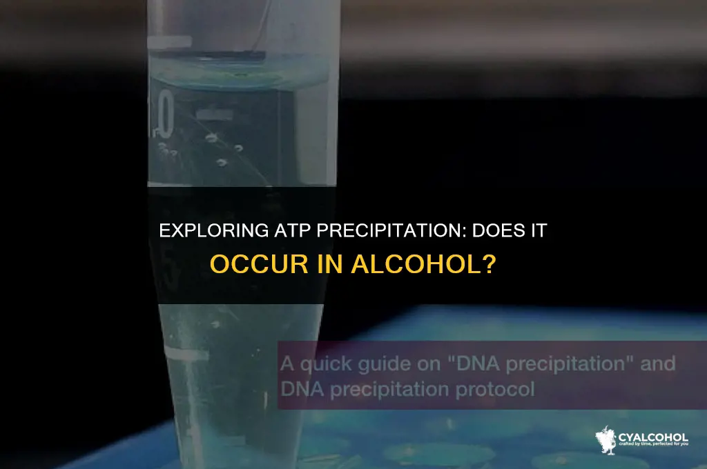 does atp precipitate in alcohol