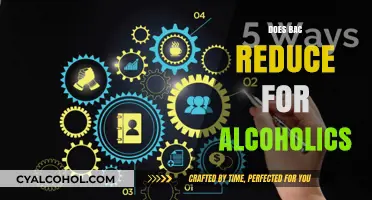 Exploring the Impact of BAC Reduction Strategies for Alcoholics