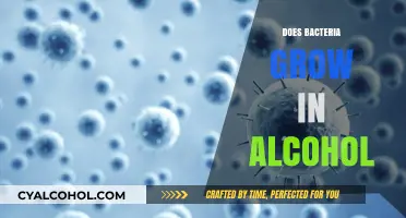 Unveiling the Truth: Can Bacteria Thrive in Alcoholic Environments?