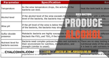 Can Bacteria Brew Alcohol? Unveiling Microbial Fermentation Secrets