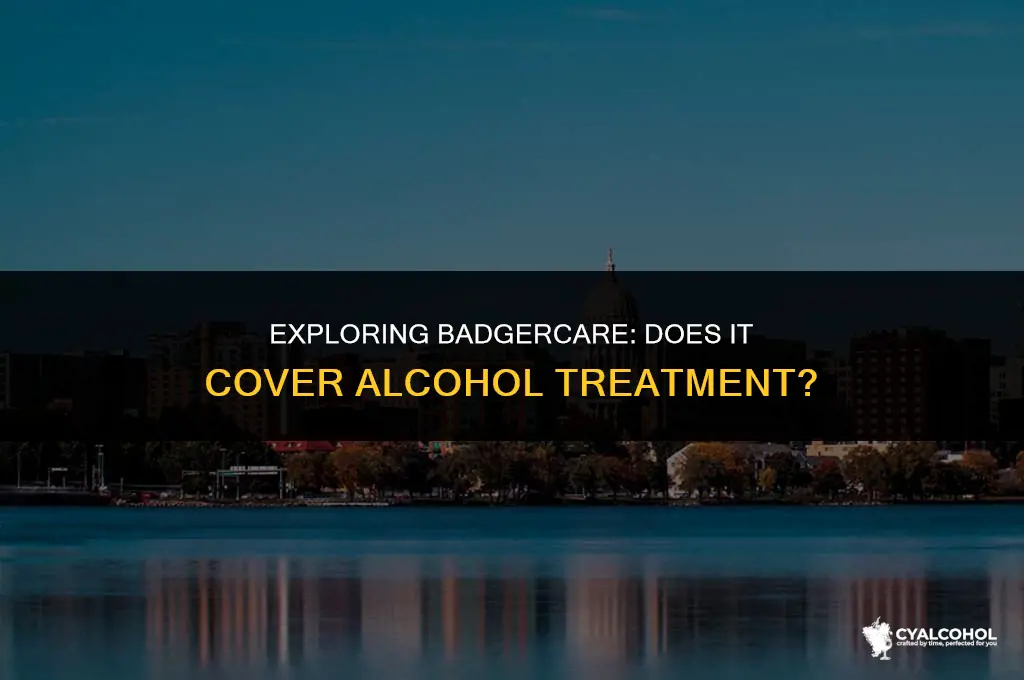 does badgercare cover alcohol treatment