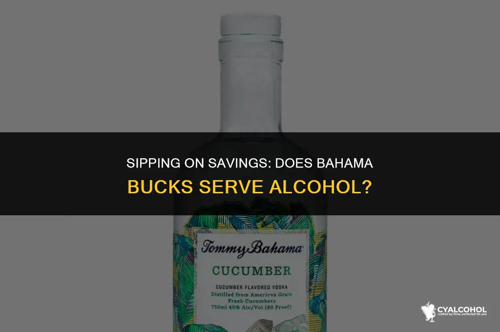 does bahama bucks have alcohol