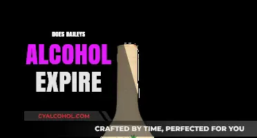 Does Baileys Expire? Shelf Life and Storage Tips for Your Cream Liqueur