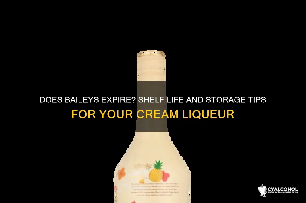 does baileys alcohol expire