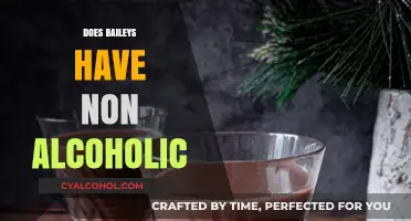 Exploring Non-Alcoholic Alternatives: Does Baileys Offer a Sober Option?