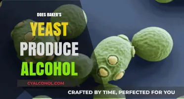 Can Baker's Yeast Ferment Alcohol? Unveiling the Science Behind It
