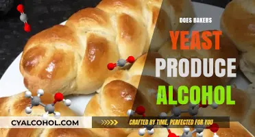 The Surprising Truth: Baker's Yeast and Alcohol Production