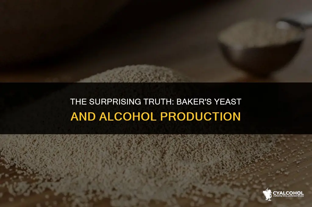 does bakers yeast produce alcohol