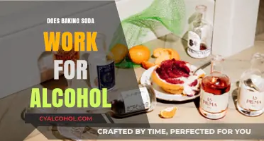 Baking Soda for Alcohol Detox: Fact or Fiction?