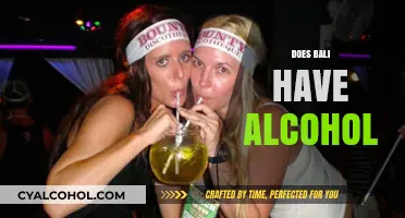 Exploring Bali's Nightlife: Alcohol Availability and Cultural Drinking Practices