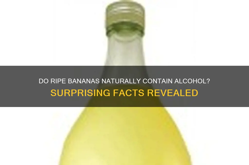 does banana have alcohol