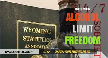 Sobriety Statutes: Balancing Public Health and Personal Liberties