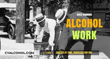 Does Banning Alcohol Work? Examining Prohibition's Effectiveness and Consequences