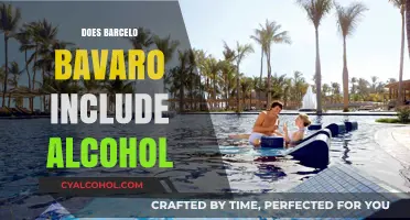 All-Inclusive Bliss: Alcohol Options at Barcelo Bavaro Resort