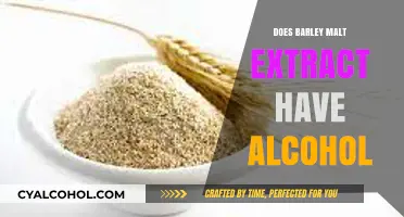 Does Barley Malt Extract Contain Alcohol? Facts and Insights